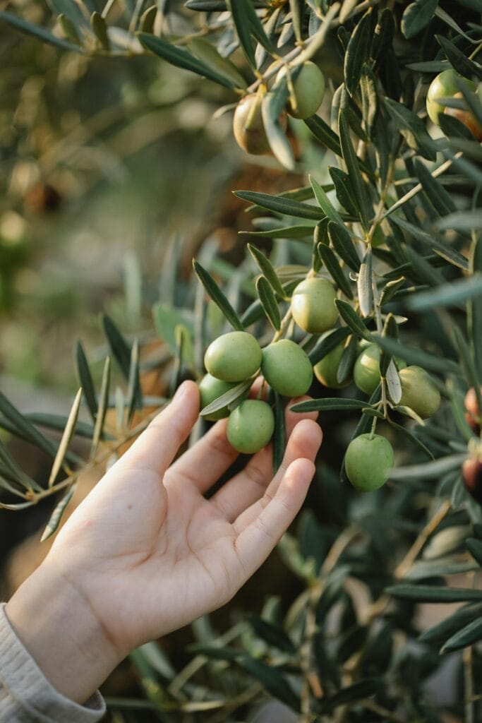 ARGAN OIL OR LIQUID GOLD FOR HAIR